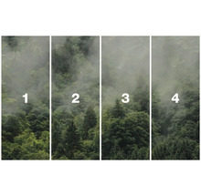 Vierdelig fotobehang met bosmotief en mist