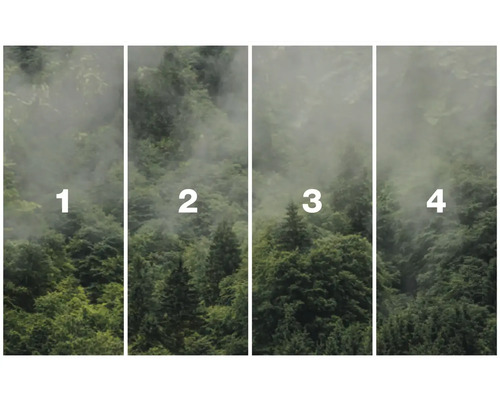 Vierdelig fotobehang met bosmotief en mist
