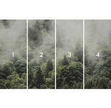 Vierdelig fotobehang met bosmotief en nevel