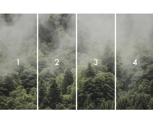 Vierdelig fotobehang met bosmotief en nevel