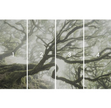 Vierdelige fotoprint van een nevelwoud