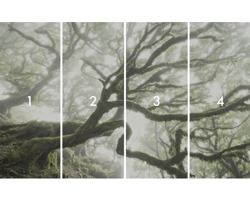 Vierdelige fotoprint van een nevelwoud