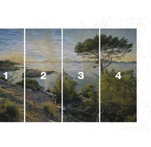 Vierdelig fotobehang met landschap van kust en vegetatie