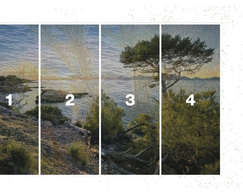 Vierdelig fotobehang met landschap van kust en vegetatie
