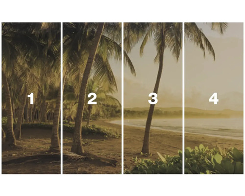 Vierdelige landschapsafbeelding met palmbomen op het strand