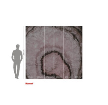 Fotobehang met een doorsnede van een agaatsteen met maatindicaties