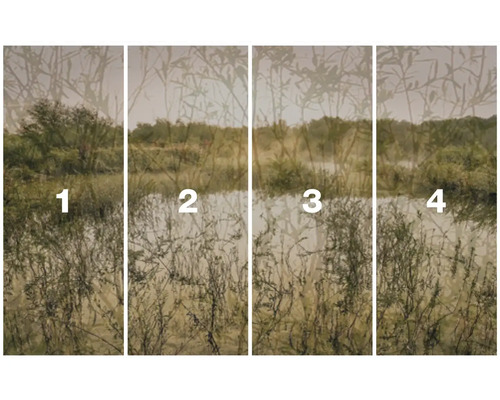 Vierdelige landschapsfoto met bomen en struiken