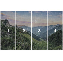 Vierdelig landschapspanorama met bergen en vegetatie