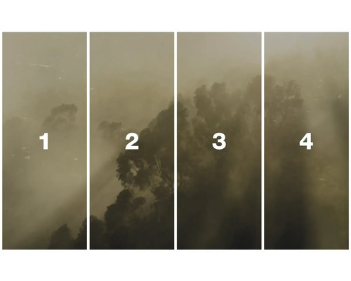 Vierdelige afbeelding van de natuur met bomen en mist