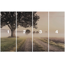 Meerdelige afbeelding van een landschap met bomen en mist