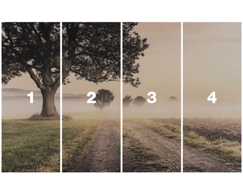 Meerdelige afbeelding van een landschap met bomen en mist