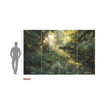 Fotobehang met bosmotief en zonlicht