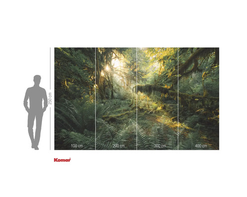 Fotobehang met bosmotief en zonlicht