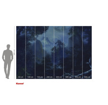 Komar fotobehang met boslandschap en maatvoering.