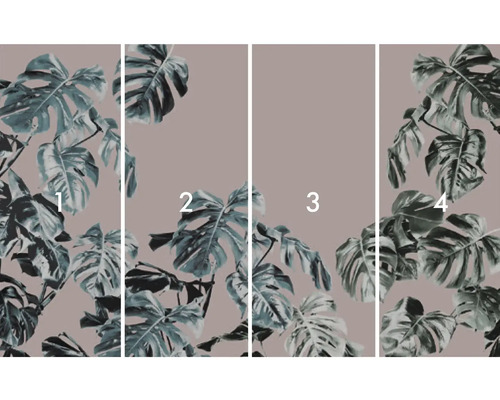 Vierdelig fotobehang met Monstera-bladmotief