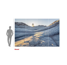 Fotobehang met rotsformaties en boom