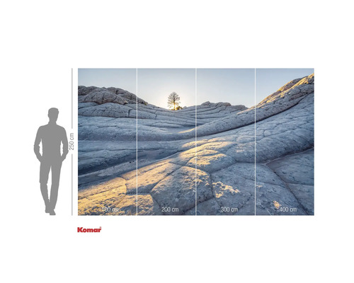 Fotobehang met rotsformaties en boom