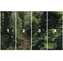 Fotobehang met jungle-motieven in vier delen