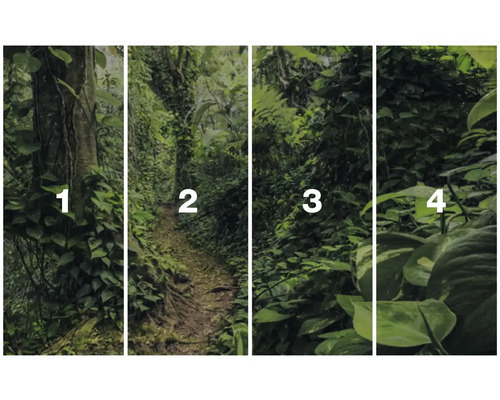 Fotobehang met jungle-motieven in vier delen