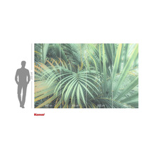 Komar fotobehang met palmbladeren, 400 cm breed en 250 cm hoog