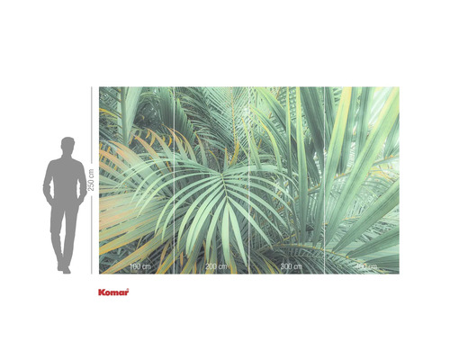 Komar fotobehang met palmbladeren, 400 cm breed en 250 cm hoog