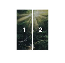 Bos fotobehang, tweedelig