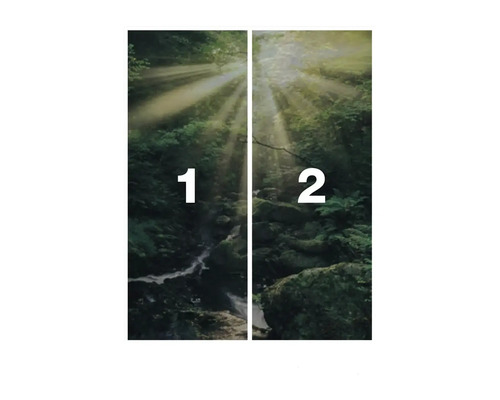 Bos fotobehang, tweedelig