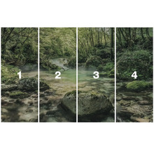 Vierdelig fotobehang met bosrivier motieven