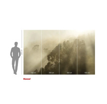 Fotobehang met bosmotief in de mist en maataanduidingen