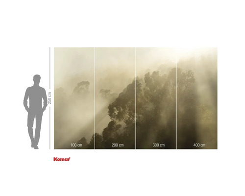 Fotobehang met bosmotief in de mist en maataanduidingen