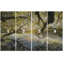 Vierdelig fotobehang met boommotief