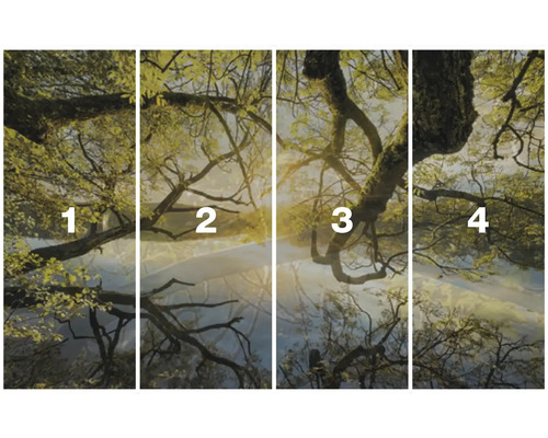 Vierdelig fotobehang met boommotief