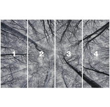 Vierdelig fotobehang met boomtoppen in de winter