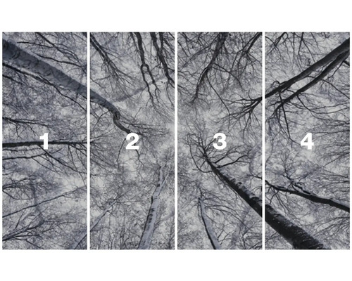 Vierdelig fotobehang met boomtoppen in de winter