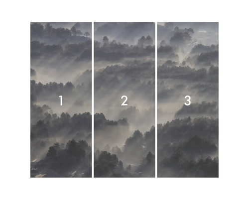 Fotobehang bestaande uit drie delen met bosmotief in de mist