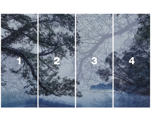 Vierdelig fotobehang bos