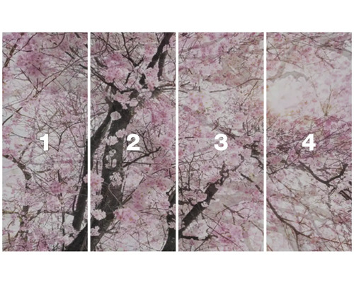 Vierdelig fotobehang met kersenbloesemmotief