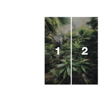 Wanddecoratie met waterval en groene planten