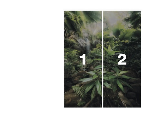 Wanddecoratie met waterval en groene planten