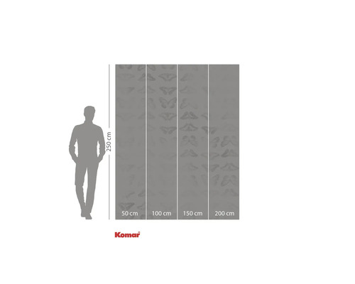 Fotobehang met vlindermotief, 250 cm hoog en 200 cm breed