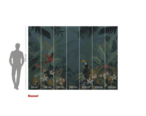 Fotobehang met jungle thema, met papegaai en toekan