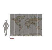 Wereldkaart als fotobehang met maatindicaties