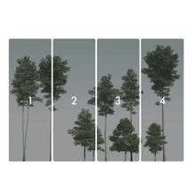 Vierdelig behang met bosmotief en bomen