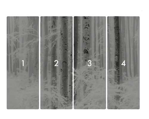 Vierdelig behang met bosmotief en bomen