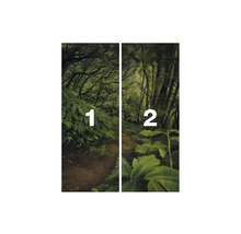 Bosweg fotobehang met nummering een en twee