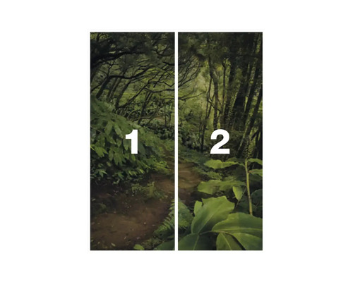 Bosweg fotobehang met nummering een en twee