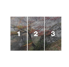 Decoratieve muurafbeelding met herfstbosmotief, driedelig