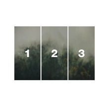 Driedelige wanddecoratie met bosmotief en nevel