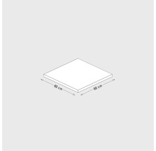 Illustratie van een vierkante plaat met afmetingen van 60 x 60 cm.