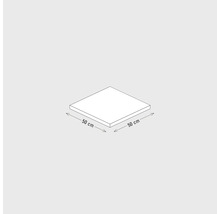 Vierkante plaat met afmetingen van 50 cm x 50 cm.